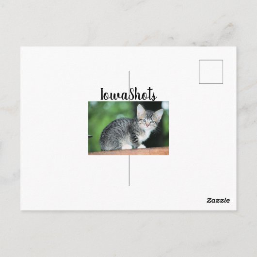 Kitten Postkarte (Rückseite)