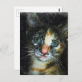 Kitten Postkarte (Vorne/Hinten)