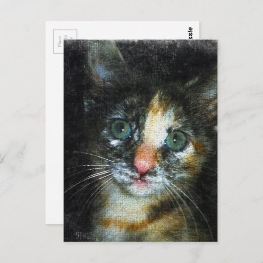 Kitten Postkarte (Vorne/Hinten)