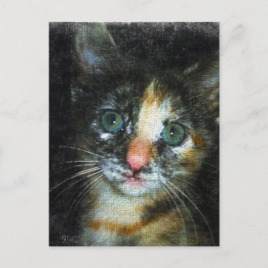 Kitten Postkarte (Vorderseite)