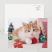 Kitten Postkarte (Vorne/Hinten)