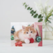 Kitten Postkarte (Stehend Vorderseite)