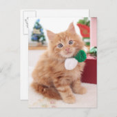 Kitten Postkarte (Vorne/Hinten)