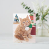 Kitten Postkarte (Stehend Vorderseite)