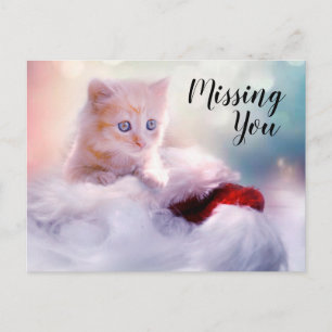 Kitten Postkarte