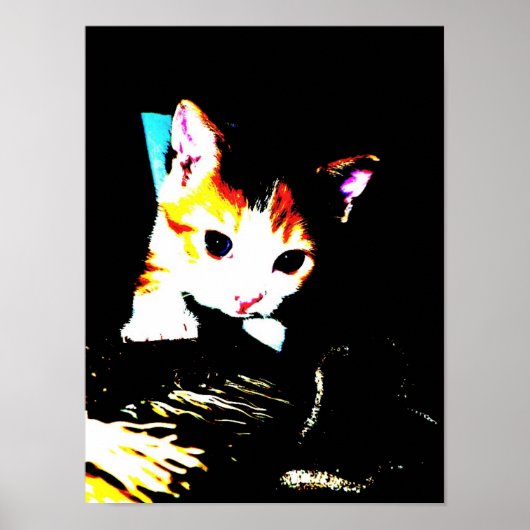 Kitten Print Poster (Vorne)