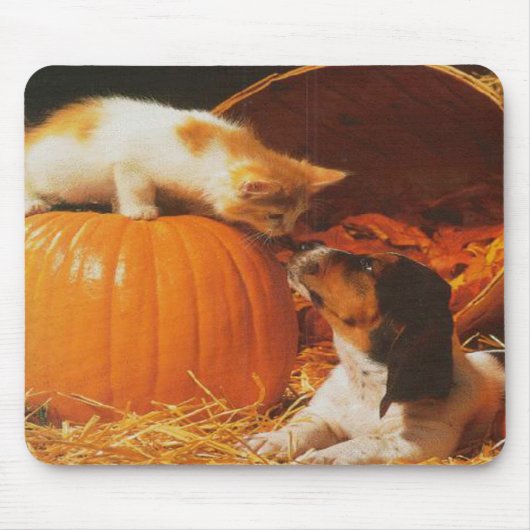 Kitten, Pumpkin und Welpenmousepad Mousepad (Vorne)