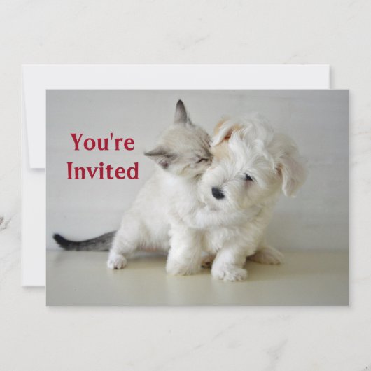 Kitten Puppy Bridal Dusche Einladung (Vorderseite)