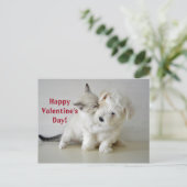 Kitten Puppy Valentine's Day Postkarte (Stehend Vorderseite)