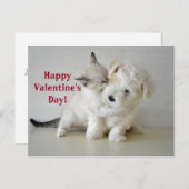 Kitten Puppy Valentine's Day Postkarte (Vorne/Hinten)