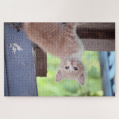 Kitten Puzzle (Horizontal)