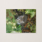 Kitten Puzzle (Horizontal)