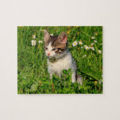 Kitten Puzzle (Horizontal)