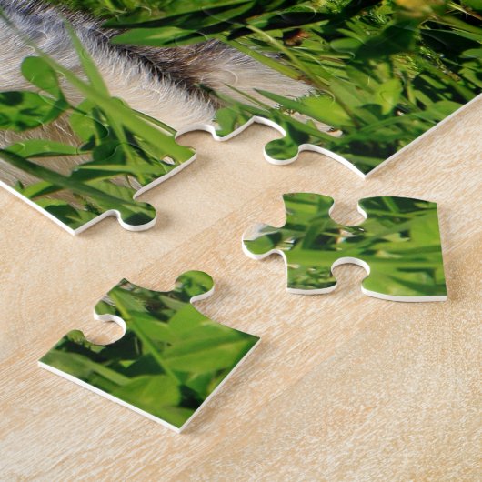 Kitten Puzzle (Seite)