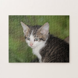 Kitten Puzzle