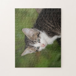 Kitten Puzzle