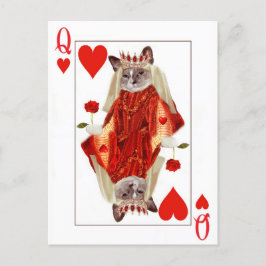 Kitten Queen of Hearts Postcard Postkarte