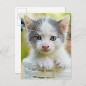 Kitten Rad Postkarte (Vorne/Hinten)