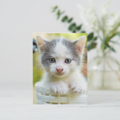 Kitten Rad Postkarte (Stehend Vorderseite)