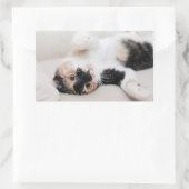 Kitten Rechteckiger Aufkleber (Tasche)