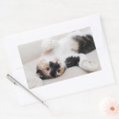 Kitten Rechteckiger Aufkleber (Umschlag)