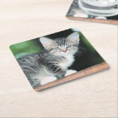 Kitten Rechteckiger Pappuntersetzer (angewinkelt)