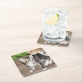 Kitten Rechteckiger Pappuntersetzer (Vor Ort)