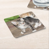 Kitten Rechteckiger Pappuntersetzer (angewinkelt)