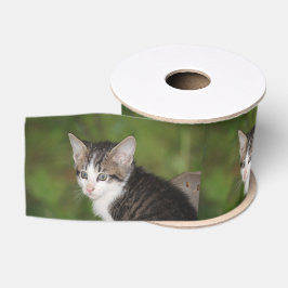 Kitten Ripsband