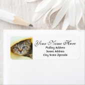 Kitten-Rücksendeadresse verbergen (Insitu)