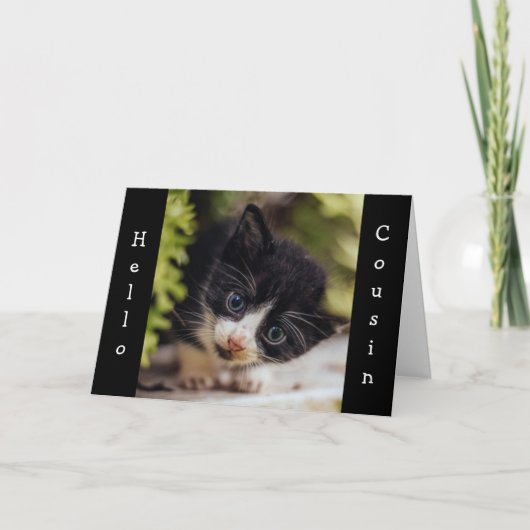 KITTEN SAGT "HAPPY BIRTHDAY" COUSIN CARD KARTE (Vorderseite)