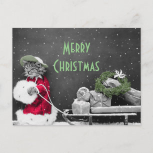 Kitten Santa und Schlitten von Packungen Feiertagspostkarte