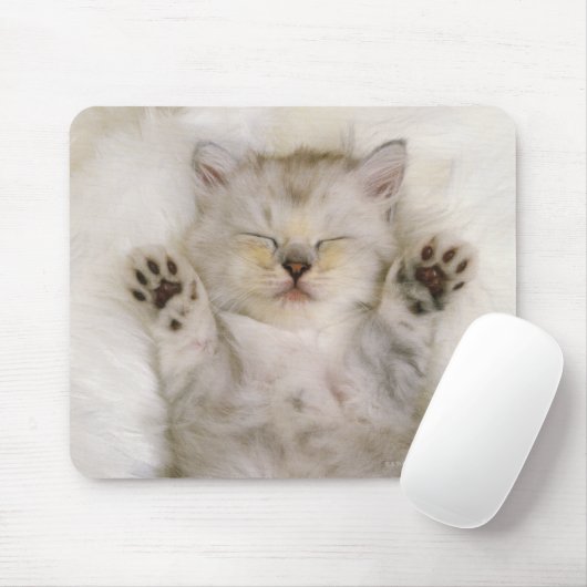 Kitten Schlafen auf einem weißen Teppichboden, hoc Mousepad (Mit Mouse)