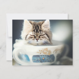 Kitten Schlafen im Teacup - Katze Postkarte