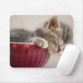 Kitten Schlafen in Bowl Mousepad (Mit Mouse)