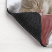 Kitten Schlafen in Bowl Mousepad (Ecke)