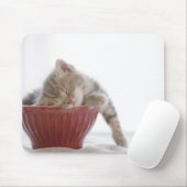Kitten Schlafen in Bowl Mousepad (Mit Mouse)
