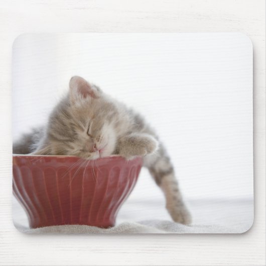 Kitten Schlafen in Bowl Mousepad (Vorne)