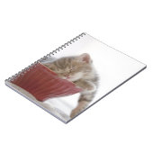 Kitten Schlafen in Bowl Notizblock (Linke Seite)
