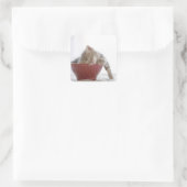 Kitten Schlafen in Bowl Quadratischer Aufkleber (Tasche)