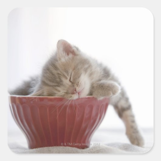 Kitten Schlafen in Bowl Quadratischer Aufkleber (Vorderseite)