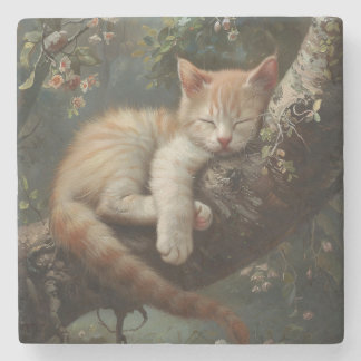 Kitten Schlafen in einem Baum Vintag Steinuntersetzer