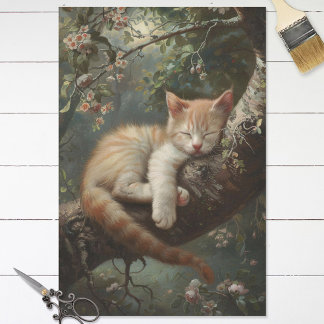 Kitten Schlafen in einem Vintagen Baum Seidenpapier