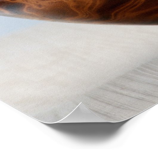 Kitten Schlafen in einer Schüssel Poster (Ecke)