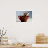 Kitten Schlafen in einer Schüssel Poster (Küche)