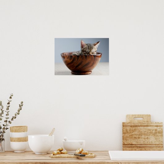 Kitten Schlafen in einer Schüssel Poster (Küche)