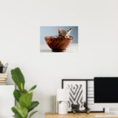 Kitten Schlafen in einer Schüssel Poster (Heimbüro)