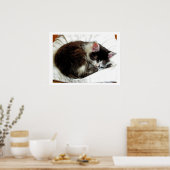 Kitten schläft auf weißem Komfort Poster (Küche)