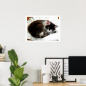 Kitten schläft auf weißem Komfort Poster (Heimbüro)
