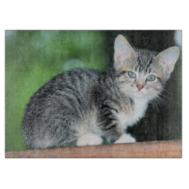 Kitten Schneidebrett